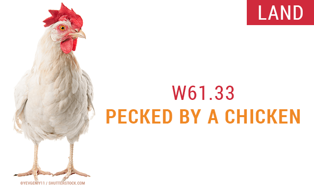 Pecked By A Chicken - 20 Amusing and Bizarre New ICD-10 Codes