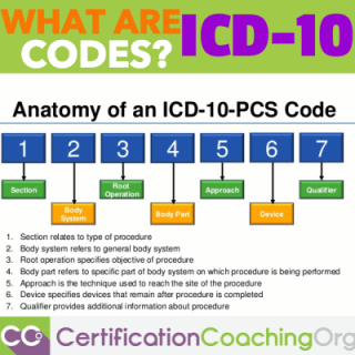 What Are ICD 10 Codes & How Do ICD-10 Codes Work?