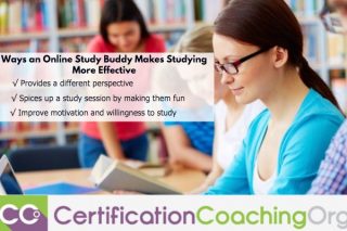 What Makes an Online Study Buddy More Effective for Studying
