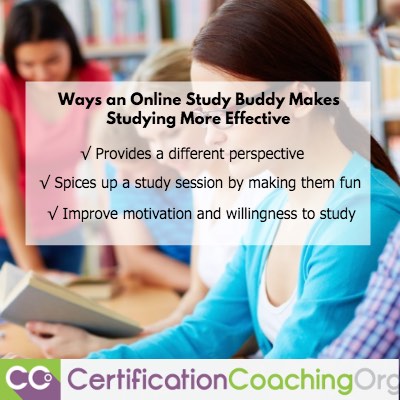 What Makes an Online Study Buddy More Effective for Studying