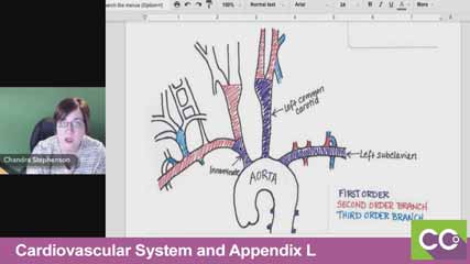 Cardiovascular System and Appendix L