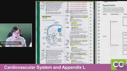 Cardiovascular-System-and-Appendix-L--05