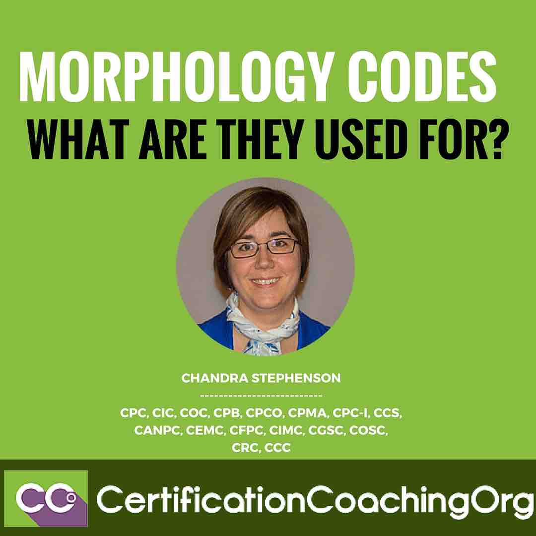 Morphology Codes - What Are They Used For