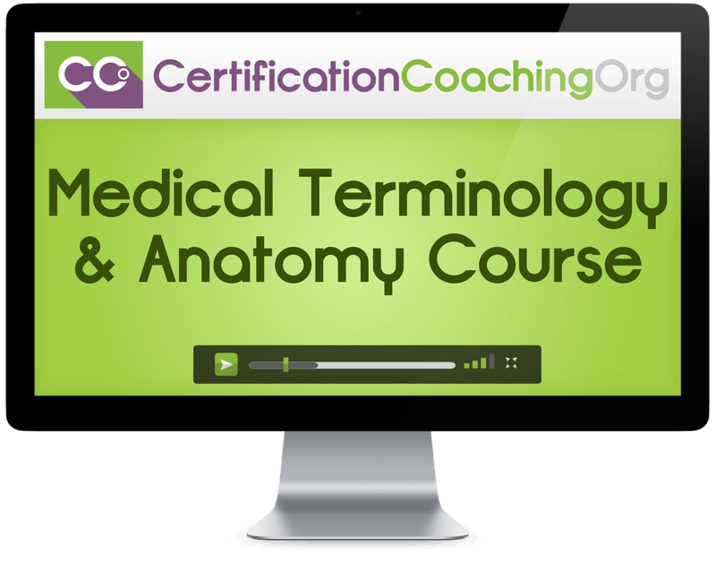 Medical Terminology Anatomy Course