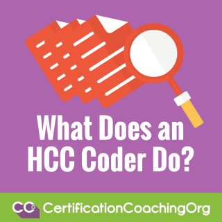 What does an HCC coder do