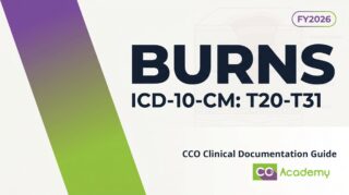 Burns clinical documentation guide cover