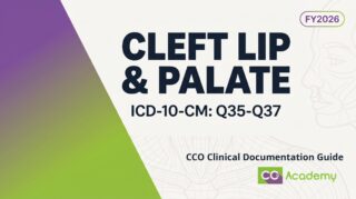 Cleft Lip and Cleft Palate clinical documentation guide cover