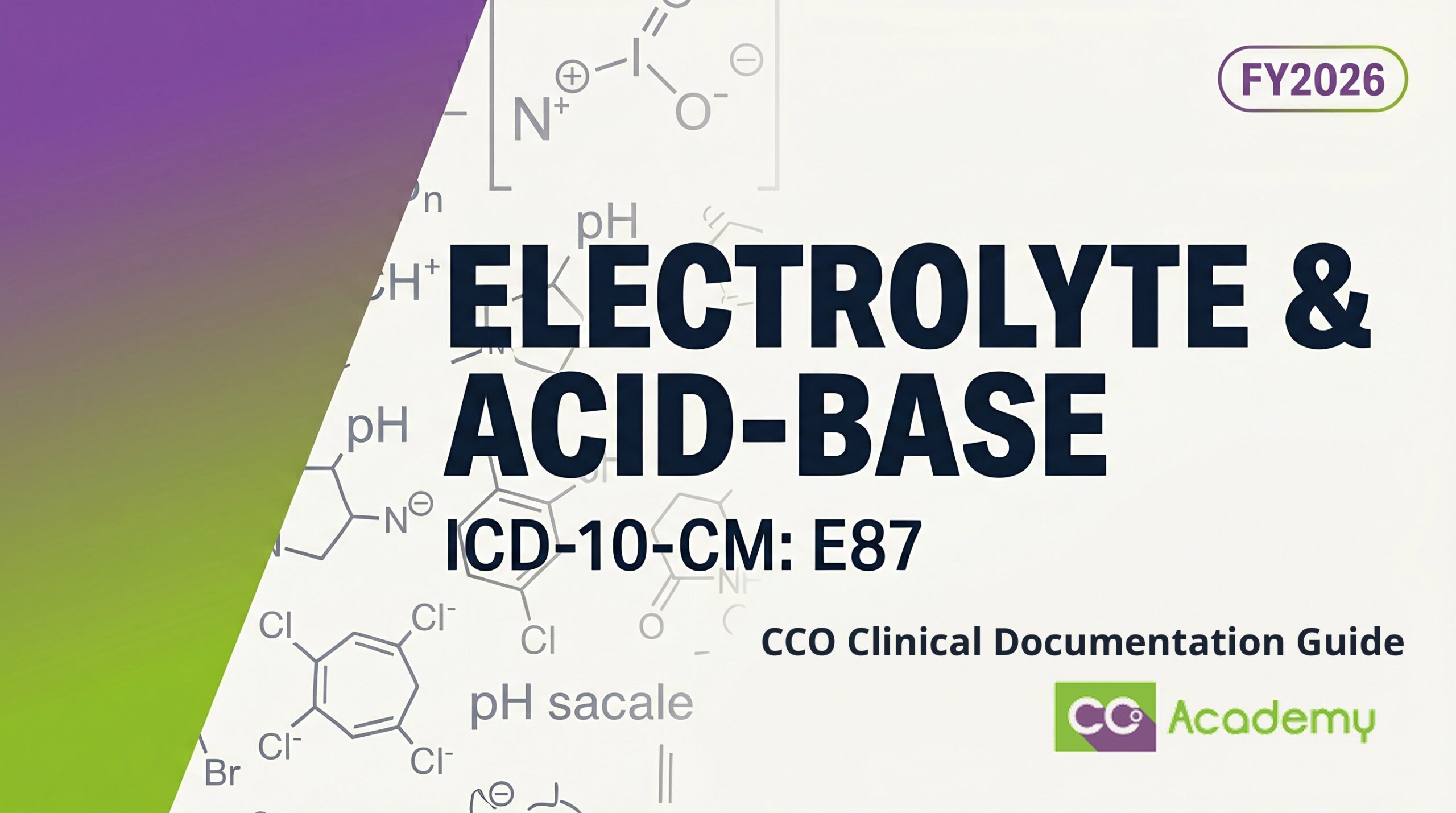 Electrolyte and Acid/Base Disorders — Clinical Documentation Guide featured image