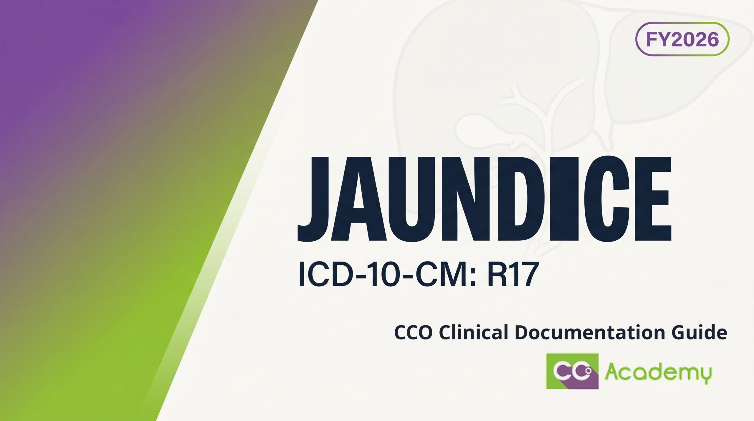 Jaundice — Clinical Documentation Guide featured image
