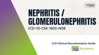 Nephritis / Glomerulonephritis / Interstitial Nephritis clinical documentation guide cover