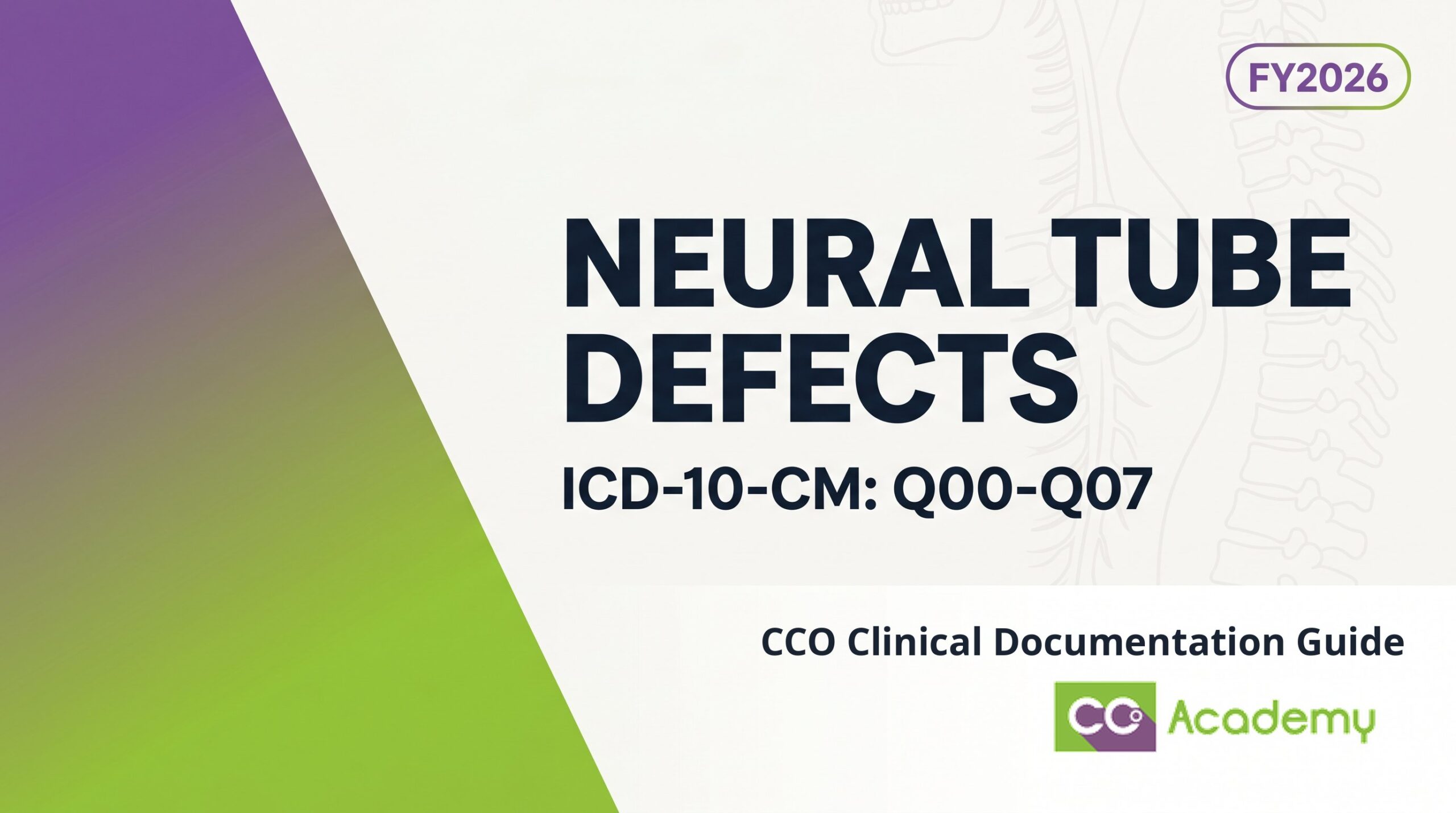 Neural Tube Defects (including Spina Bifida) — Clinical Documentation Guide featured image