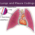 Guide to Lungs and Pleura Coding — Video