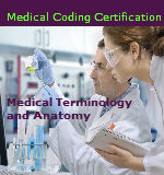 Medical Terminology and Anatomy Course