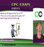 cpc exam - anatomy - Medical Terminology Basics