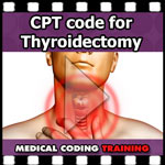 What Is The Correct CPT Code for Thyroidectomy