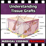 Understanding Tissue Grafts — VIDEO | CCO Medical Coding